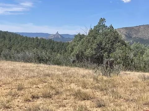941 975995 1027 Hurt Dr, Pagosa Springs, CO 81147