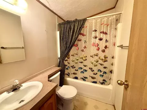 Bath - 288 Animas View Dr #38, Durango, CO 81301 photo 1 of 3