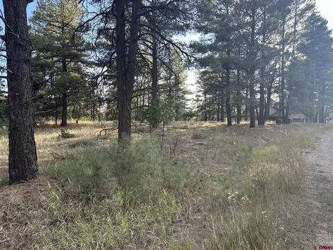 434 Twincreek Cir, Pagosa Springs, CO 81147
