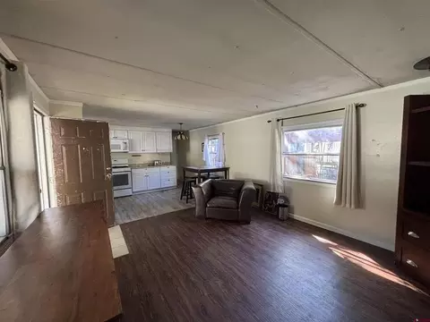 Living - 288 Animas View Dr #2, Durango, CO 81301 photo 6 of 6