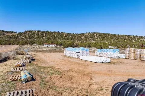 39 Kaycee Ln, Durango, CO 81303 photo 19