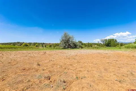 44 County Road 225a, Durango, CO 81301 photo 11