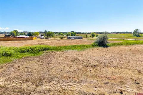 44 County Road 225a, Durango, CO 81301 photo 16