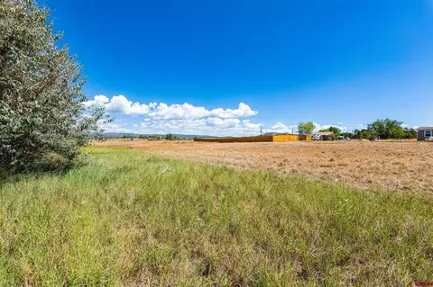 44 County Road 225a, Durango, CO 81301 photo 10