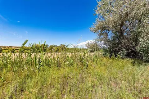 44 County Road 225a, Durango, CO 81301 photo 3