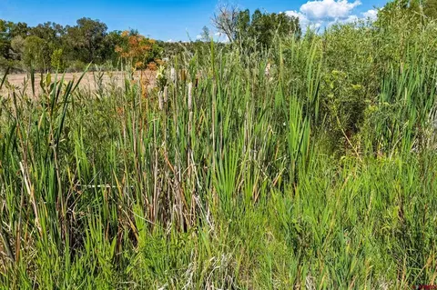 44 County Road 225a, Durango, CO 81301 photo 9