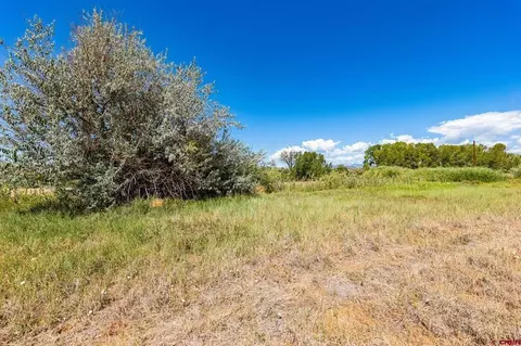 44 County Road 225a, Durango, CO 81301 photo 2