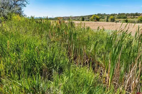 44 County Road 225a, Durango, CO 81301 photo 7