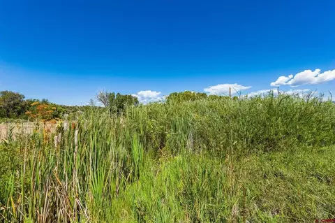 44 County Road 225a, Durango, CO 81301 photo 8