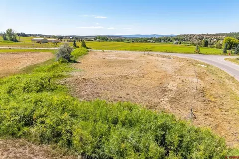 44 County Road 225a, Durango, CO 81301 photo 15