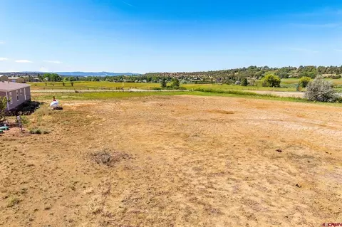 44 County Road 225a, Durango, CO 81301 photo 21