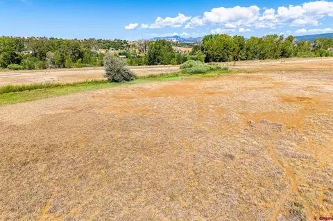 44 County Road 225a, Durango, CO 81301 photo 19