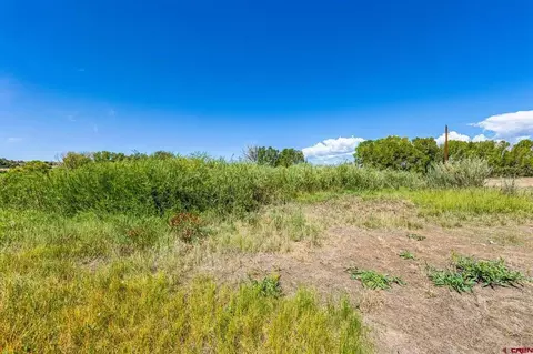 86 County Road 225a, Durango, CO 81301 photo 3