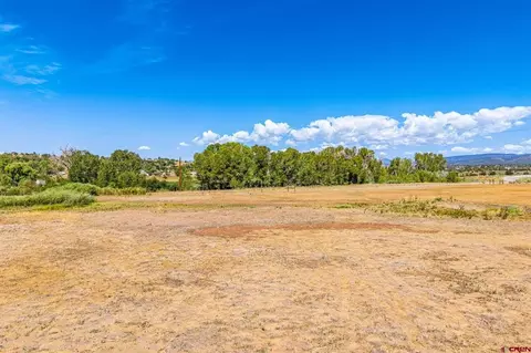86 County Road 225a, Durango, CO 81301 photo 13