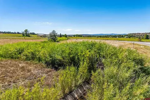 86 County Road 225a, Durango, CO 81301 photo 19