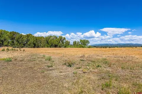 86 County Road 225a, Durango, CO 81301 photo 8