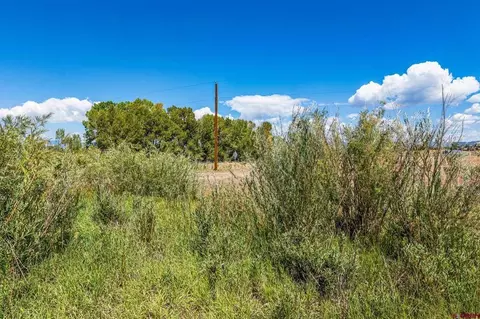 86 County Road 225a, Durango, CO 81301 photo 4