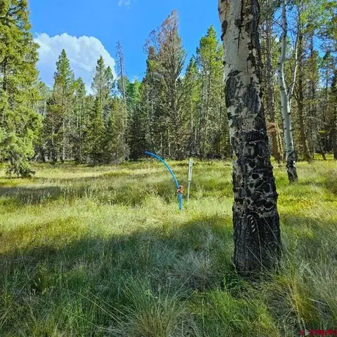 282 Aspen Trl, Cimarron, CO 81220 photo 4