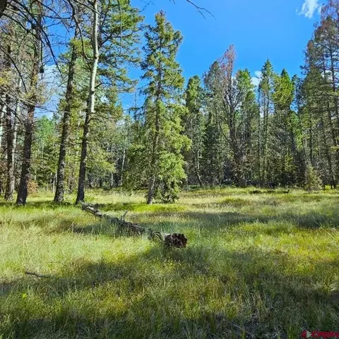 282 Aspen Trl, Cimarron, CO 81220 photo 3