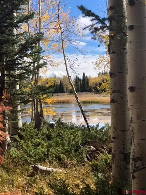 282 Aspen Trl, Cimarron, CO 81220 photo 8