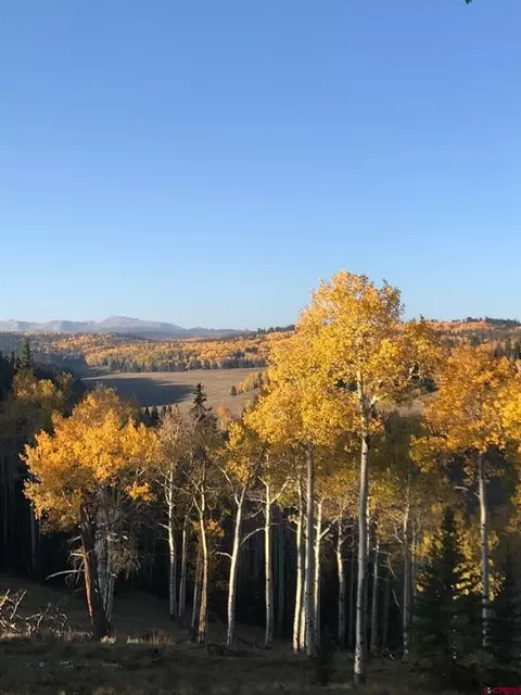 282 Aspen Trl, Cimarron, CO 81220 photo 9