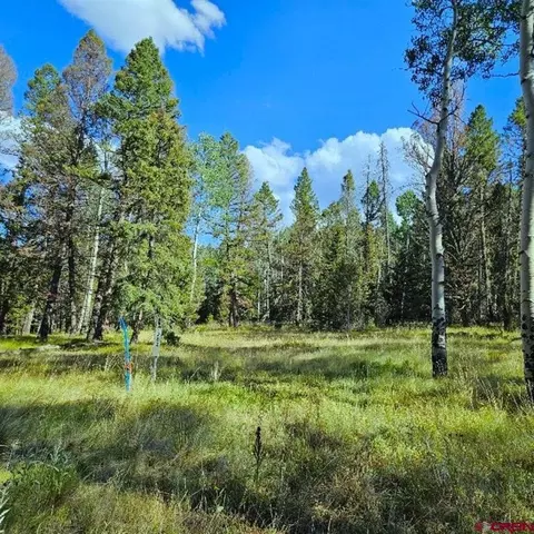 282 Aspen Trl, Cimarron, CO 81220 photo 5