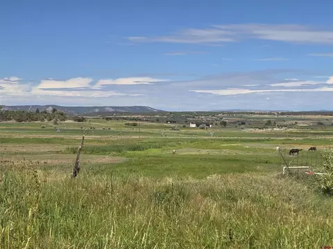 View/Area - 7915 St Hwy 151, Ignacio, CO 81137 photo 4 of 4