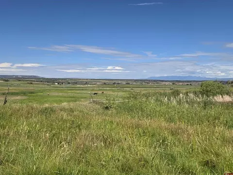View/Area - 7915 St Hwy 151, Ignacio, CO 81137 photo 3 of 4