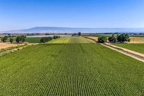 Other - tbd Carnation Or 5400 Rd, Olathe, CO 81425 photo 13 of 19
