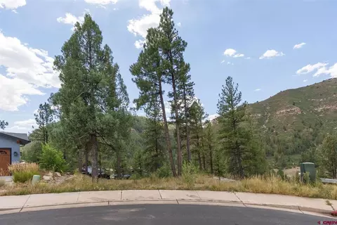 145 Bell Flower Ct, Durango, CO 81301 photo 4