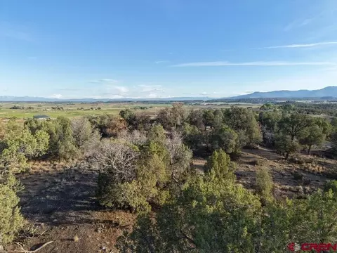 tbd Cr 329, Ignacio, CO 81137 photo 13