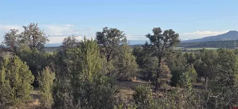 tbd Cr 329, Ignacio, CO 81137 photo 6