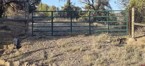 tbd Cr 329, Ignacio, CO 81137 photo 7