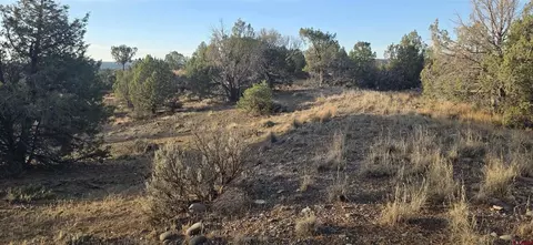 tbd Cr 329, Ignacio, CO 81137 photo 5