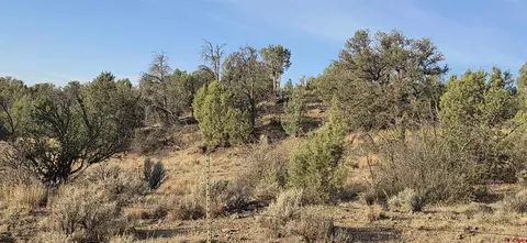 tbd Cr 329, Ignacio, CO 81137 photo 8