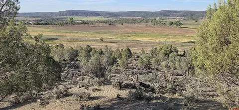 tbd Hwy 151, Ignacio, CO 81137 photo 15