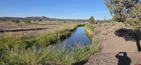 tbd Hwy 151, Ignacio, CO 81137 photo 8