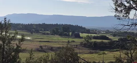 tbd Hwy 151, Ignacio, CO 81137 photo 12