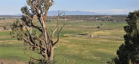 tbd Hwy 151, Ignacio, CO 81137 photo 14