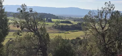 tbd Hwy 151, Ignacio, CO 81137 photo 3