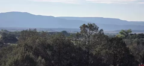 tbd Hwy 151, Ignacio, CO 81137 photo 11