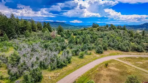 1698 Roush Dr, Pagosa Springs, CO 81147