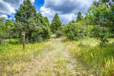 1742 Roush Dr, Pagosa Springs, CO 81147