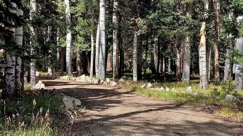 357 Wildflower Dr, Cimarron, CO 81220 photo 5
