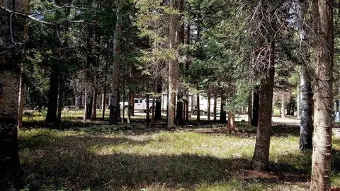 357 Wildflower Dr, Cimarron, CO 81220 photo 10