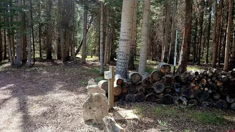 357 Wildflower Dr, Cimarron, CO 81220 photo 14
