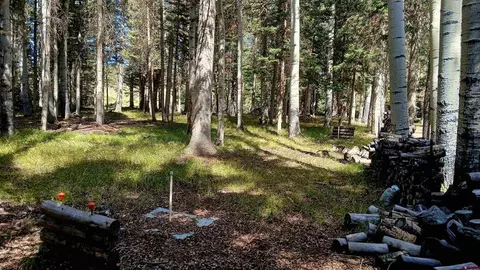 357 Wildflower Dr, Cimarron, CO 81220 photo 19