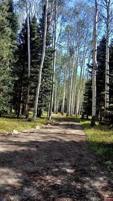 357 Wildflower Dr, Cimarron, CO 81220 photo 18