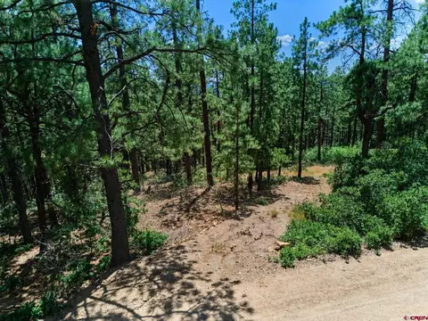 636 E Valley View Dr, Bayfield, CO 81122