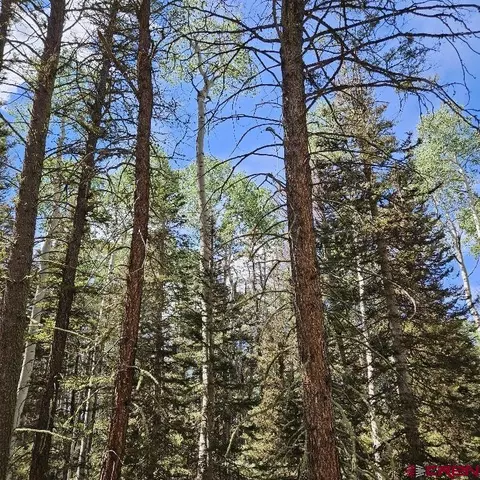 155 Aspen Trl, Cimarron, CO 81220 photo 12